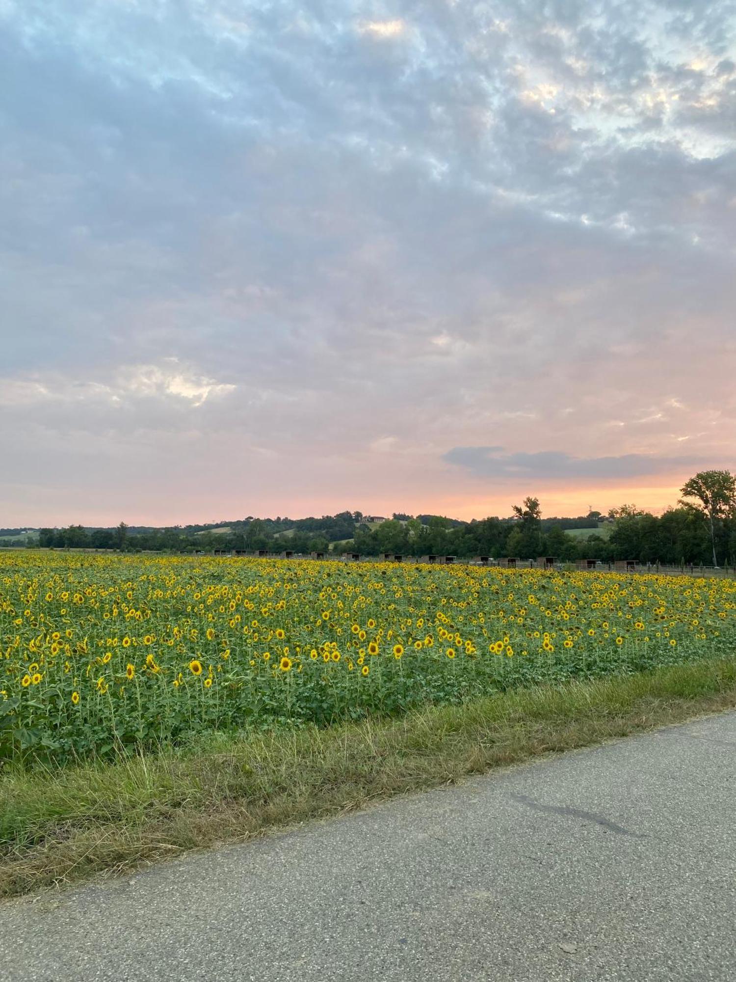 Dependance Privee A La Campagne Avec Spa Saint-Cirice Exteriér fotografie